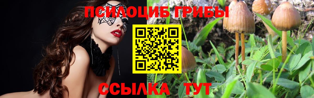 Псилоцибиновые грибы Magic Shrooms Сыктывкар